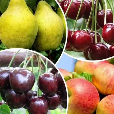 Комплект НАСЛАЖДЕНИЕ в Солигорске