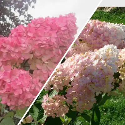 Комплект МНОГОГРАННОСТЬ в Солигорске