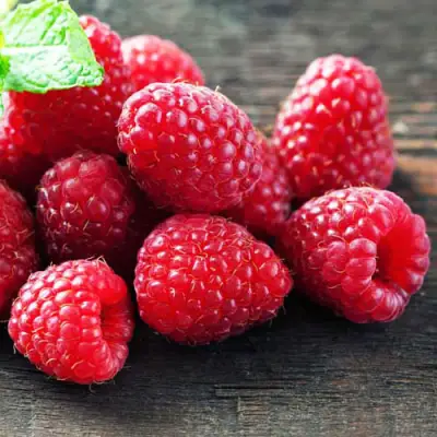 Малина ЭРИКА в Солигорске