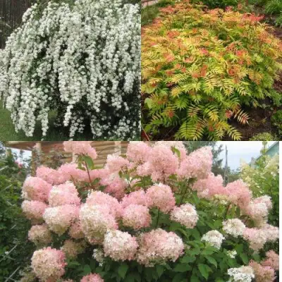 Комплект ФЕЙЕРВЕРК ЛЕТА в Солигорске