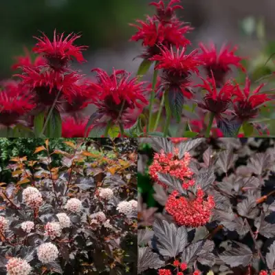 Комплект ОГНЕННЫЙ МИКС в Солигорске