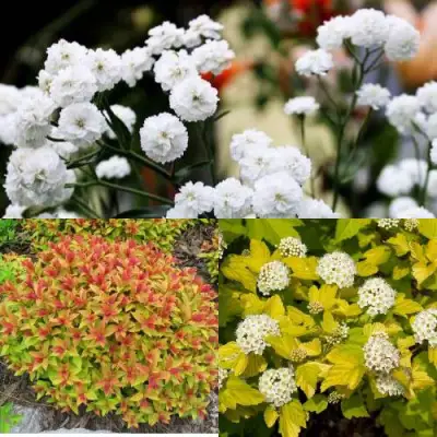 Комплект СОЛНЕЧНЫЙ МИКС в Солигорске