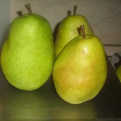 Груша БЕРЕ ЛЮКА в Солигорске