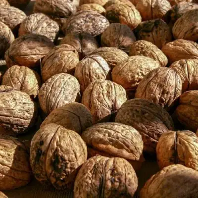 Грецкий орех ПИНСКИЙ в Солигорске