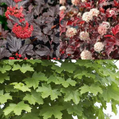 Комплект ОСЕННИЙ КОСТЕР в Солигорске