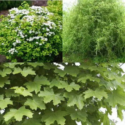 Комплект ЗЕЛЕНЫЙ ОАЗИС в Солигорске