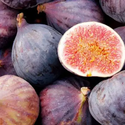 Инжир МУАССОН в Солигорске