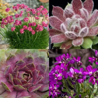 Комплект МИНИ САД в Солигорске