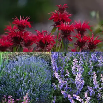 Комплект АРОМАТНЫЙ ЧАЙ в Солигорске