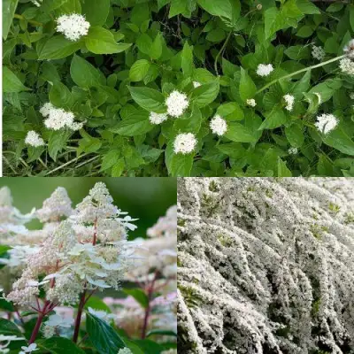 Комплект СКАНДИНАВСКИЙ СТИЛЬ в Солигорске