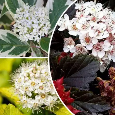 Комплект ЯРКАЯ ВСПЫШКА в Солигорске