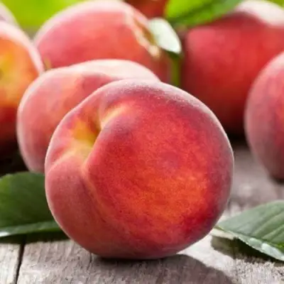 Персик МАЙСКИЙ ЦВЕТОК в Солигорске