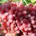 Виноград КИШМИШ КРАСНЫЙ в Солигорске
