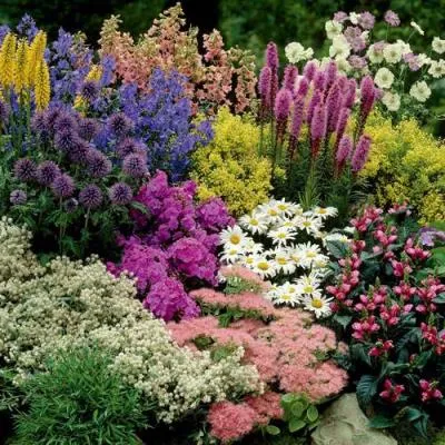 Травы  Травы в Солигорске