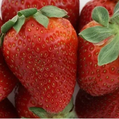 Клубника ФЛАМИНИЯ  Клубника ФЛАМИНИЯ в Солигорске