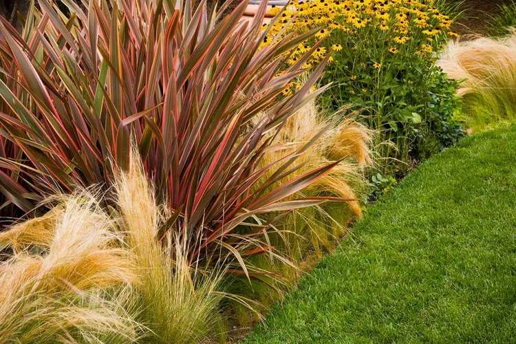 Многолетние растения.jpeg Многолетние растения.jpeg