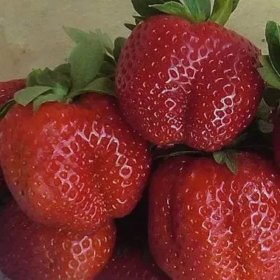 Клубника ДЕСТЕНИ в Солигорске