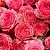 Розы