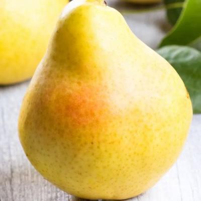 Желтая в Солигорске