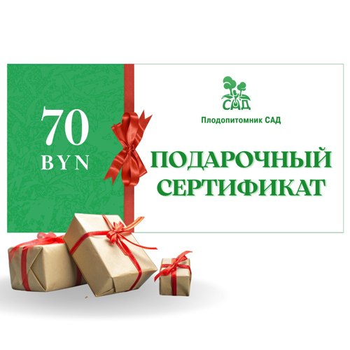 Подарочный сертификат на  70 BYN в Солигорске
