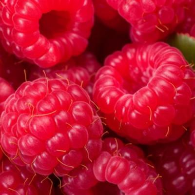 Красная в Солигорске