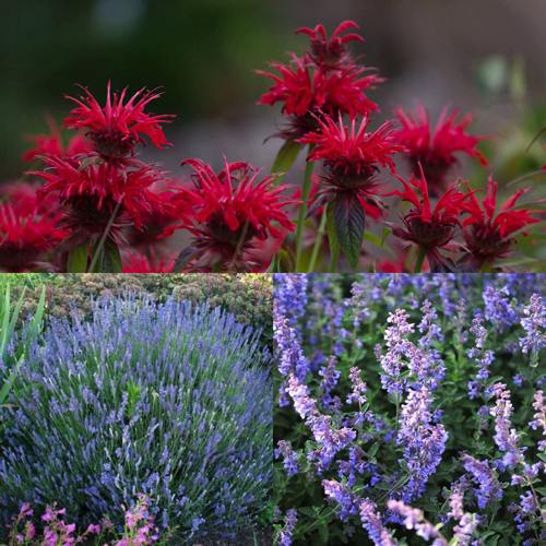 Комплект АРОМАТНЫЙ ЧАЙ в Солигорске