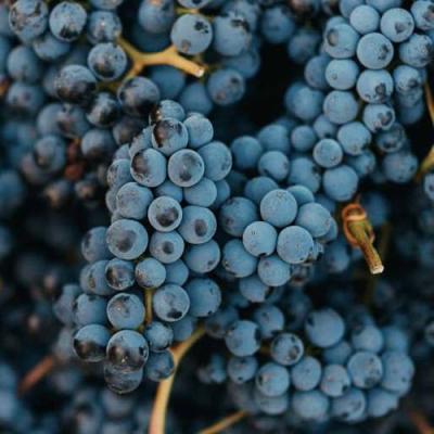 Технический в Солигорске