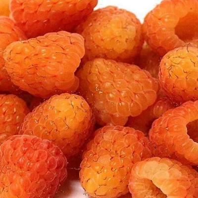 Оранжевая в Солигорске